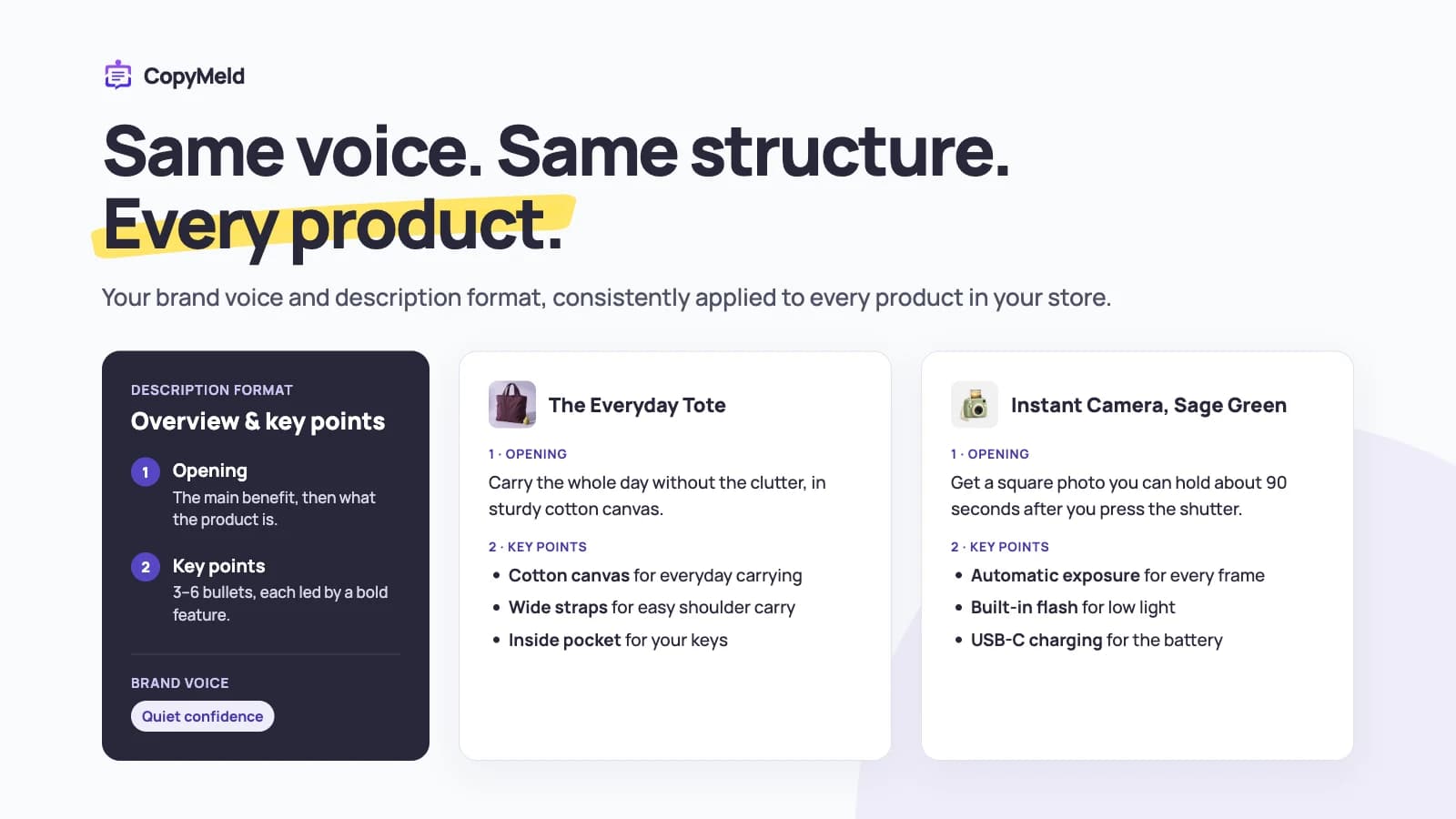 Same voice, same structure, every product. A tote and an instant camera described in the same format: an opening line, then bold-led key points.